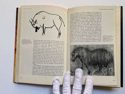 The Cave Artists (Ancient Peoples and Places) by Ann Sieveking (Author)