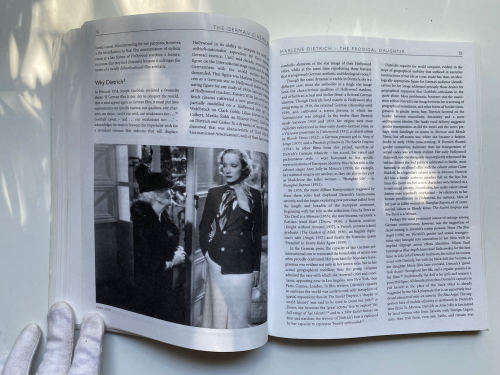The German Cinema Book by Tim Bergfelder (Editor), Erica Carter (Editor), Deniz Göktürk (Editor)