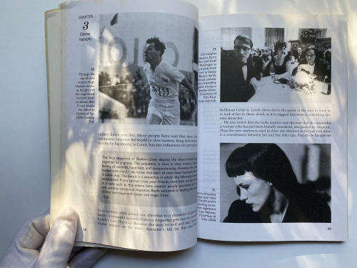 Seeing Sense On Film Analysis by Leon Van Nierop