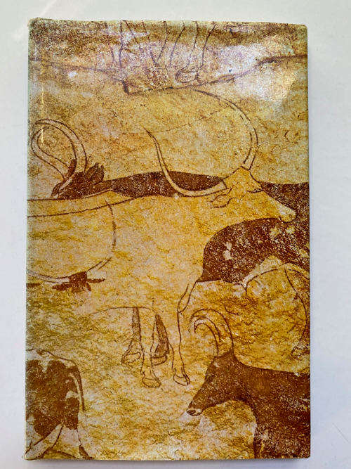 Prehistoric Painting Hardcover by Raoul-Jean Moulin