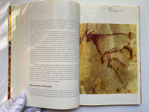 Prehistoric Painting Hardcover by Raoul-Jean Moulin