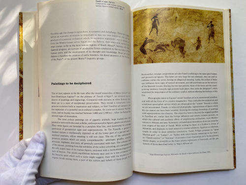 Prehistoric Painting Hardcover by Raoul-Jean Moulin
