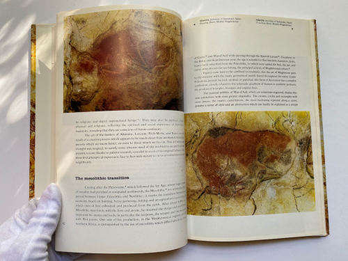 Prehistoric Painting Hardcover by Raoul-Jean Moulin