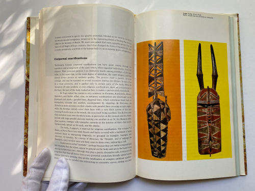 Prehistoric Painting Hardcover by Raoul-Jean Moulin