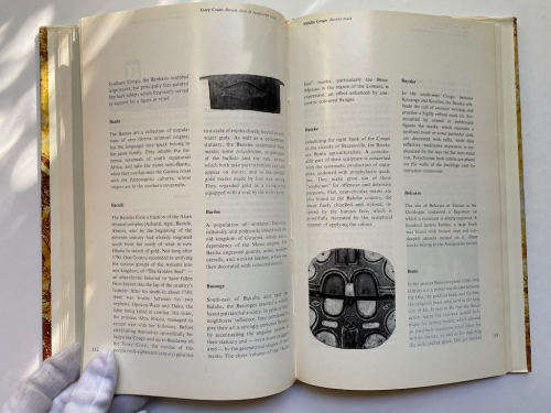 Prehistoric Painting Hardcover by Raoul-Jean Moulin