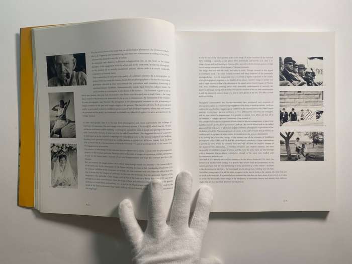 Some Afrikaners Revisited by David Goldblatt