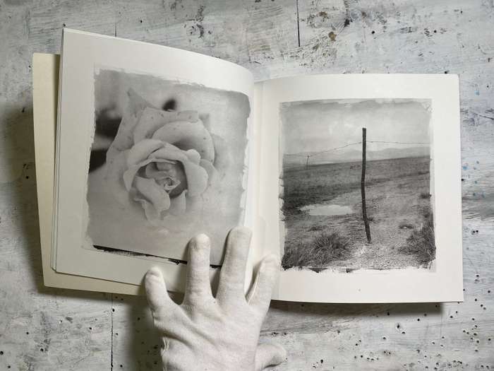 Stephen Inggs