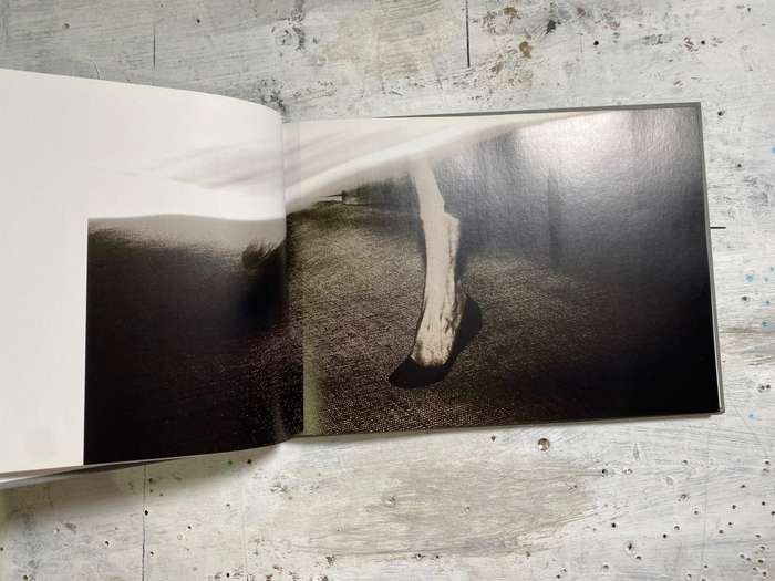 STILL/LIFE IN MOTION  a portrait of time passing by Bettie Coetzee-Lambrecht