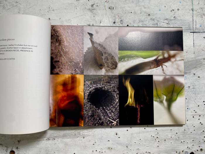 STILL/LIFE IN MOTION  a portrait of time passing by Bettie Coetzee-Lambrecht
