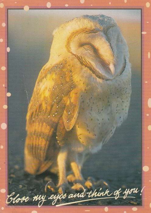OLD USED POST CARD SOUTH AFRICA