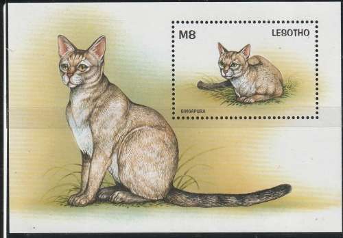 LESOTHO 1998 Cats of the World UMM CV R176 SG MS1400B