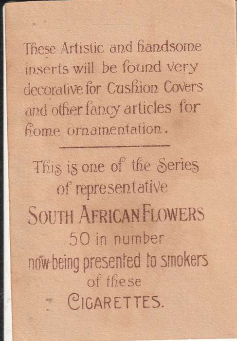 SOUTH AFRICAN FLOWERS SILK CIGERETTE CARD