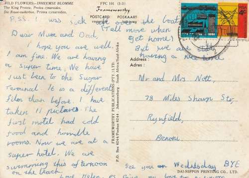 SOUTH AFRICA 3D POSTAL HISTORY POST CARD