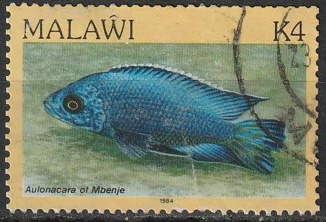MALAWI 1984 Fish FINE USED SG 702