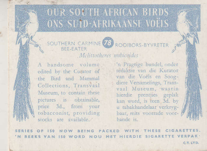 CIGARETTE CARD OUR SOUTH AFRICAN BIRDS NO. 78