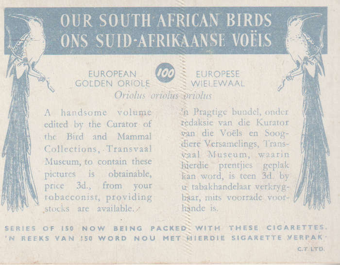 CIGARETTE CARD OUR SOUTH AFRICAN BIRDS NO. 100