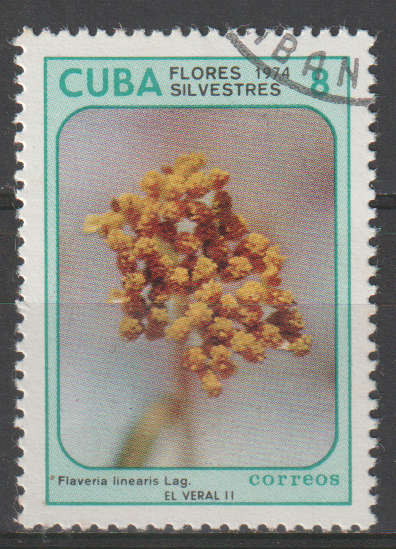 THEMATIC FLOWERS CUBA ULH