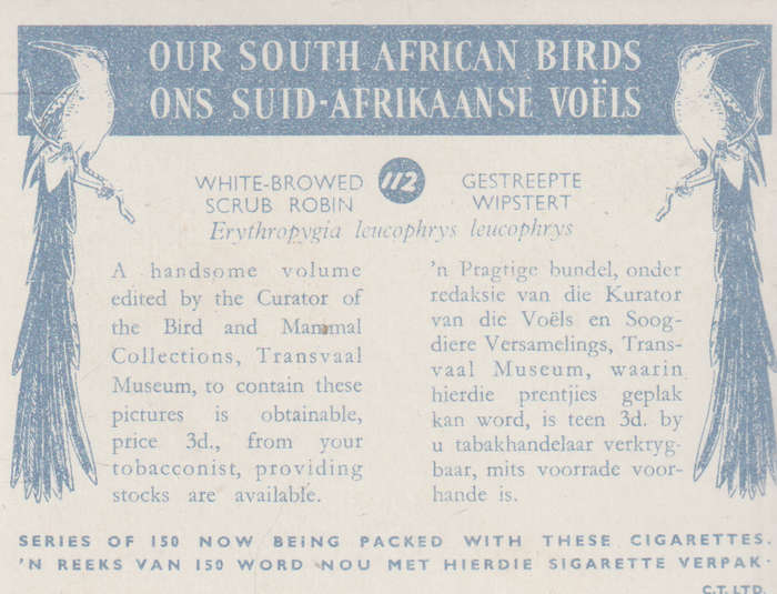 CIGARETTE CARD OUR SOUTH AFRICAN BIRDS NO. 112