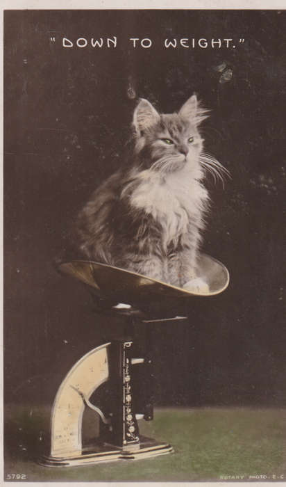 VINTAGE USED POST CARD NATAL 1907