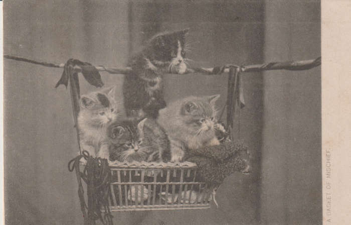 VINTAGE USED POST CARD NATAL 1904