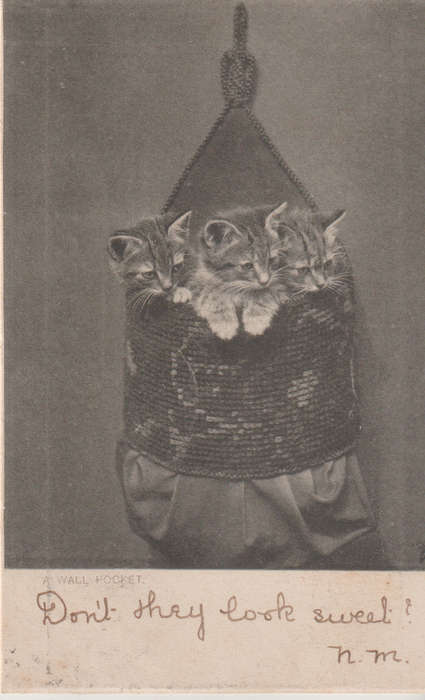VINTAGE USED POST CARD NATAL 1904