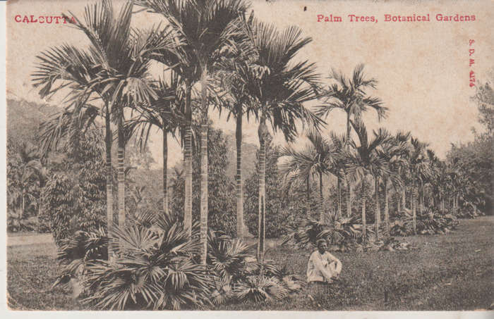 USED POST CARD INDIA 1906