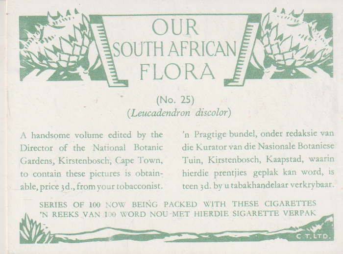 OUR SOUTH AFRICAN FLOWERS NO 25