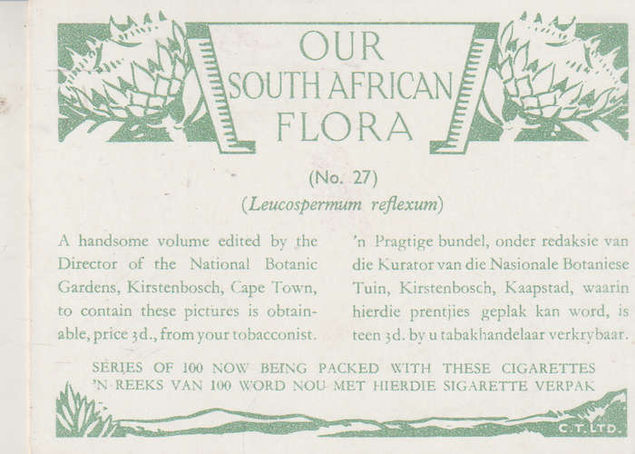 OUR SOUTH AFRICAN FLOWERS NO 27