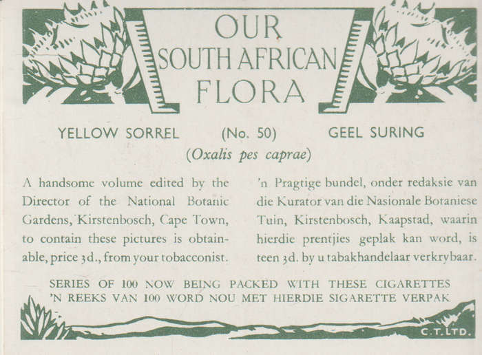 OUR SOUTH AFRICAN FLOWERS NO 50