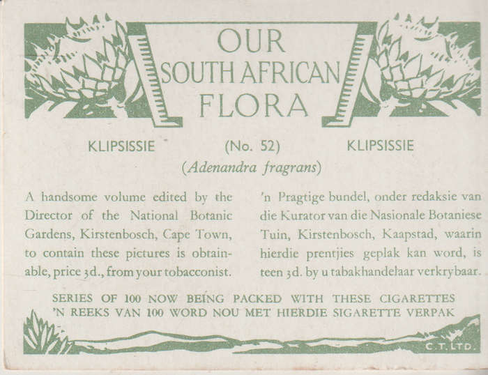 OUR SOUTH AFRICAN FLOWERS NO 52