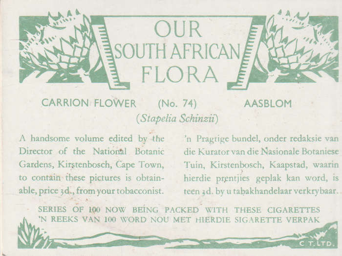 CIGARETTE CARD OUR SOUTH AFRICAN FLOWERS NO 74