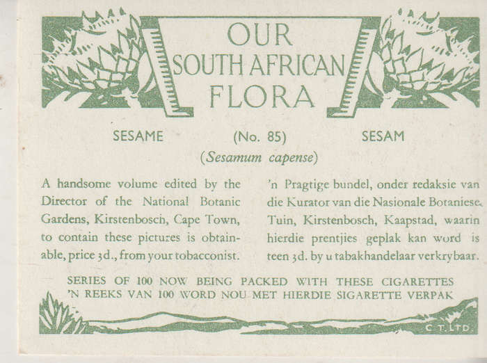 CIGARETTE CARD OUR SOUTH AFRICAN FLOWERS NO 85