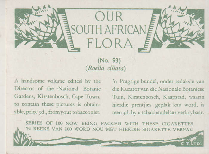 CIGARETTE CARD OUR SOUTH AFRICAN FLOWERS NO 93