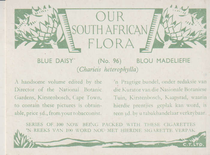 CIGARETTE CARD OUR SOUTH AFRICAN FLOWERS NO 96