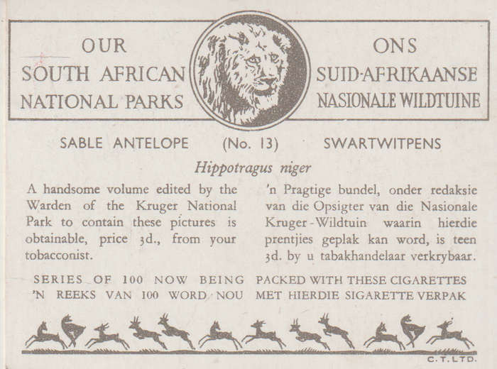 CIGARETTE CARD OUR SOUTH AFRICAN NATIONAL PARKS NO 13