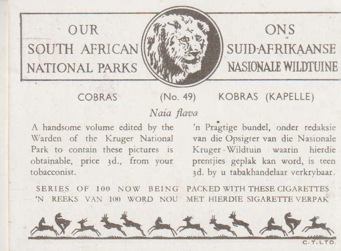 CIGARETTE CARD OUR SOUTH AFRICAN NATIONAL PARKS NO 49