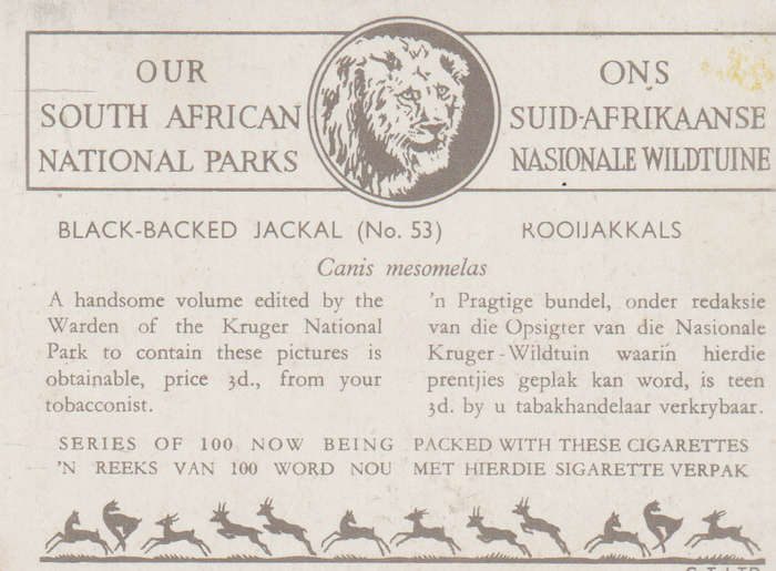 CIGARETTE CARD OUR SOUTH AFRICAN NATIONAL PARKS  NO 53