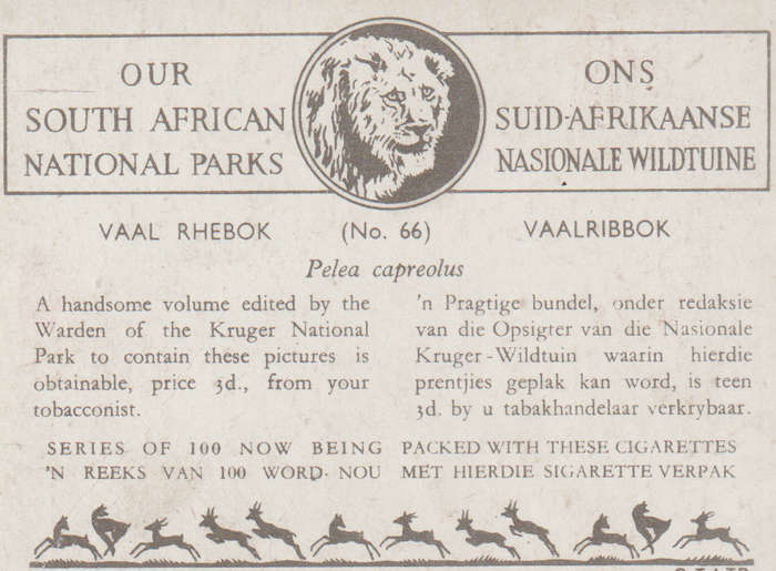 CIGARETTE CARD OUR SOUTH AFRICAN NATIONAL PARKS  NO 66