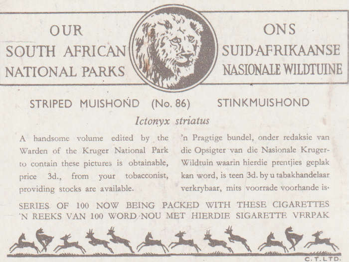 CIGARETTE CARD OUR SOUTH AFRICAN NATIONAL PARKS  NO 86