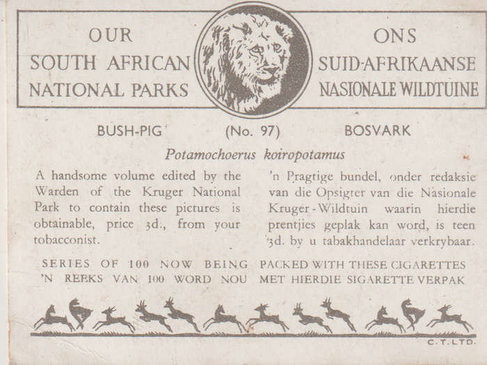 CIGARETTE CARD OUR SOUTH AFRICAN NATIONAL PARKS NO 97