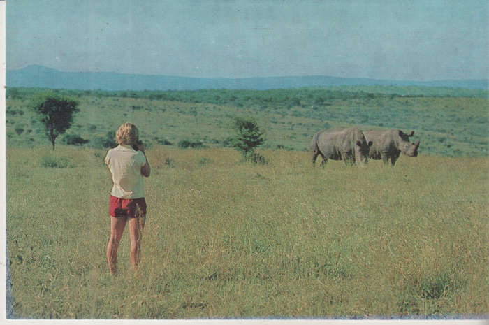 MINT POST CARD UMFOLOZI GAME RESERVE