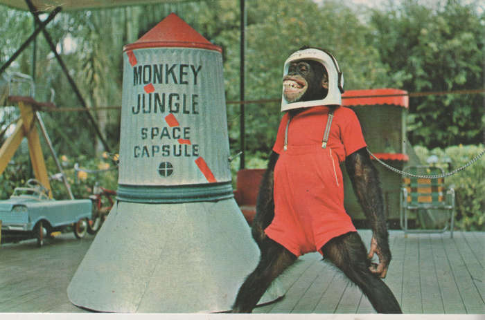 MINT POST CARD
