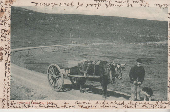 USED POST CARD UK 1904