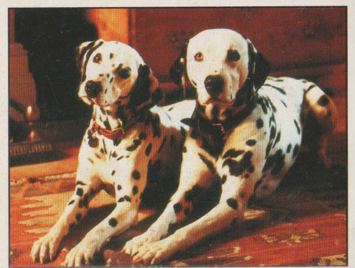 PANINI DISNEYS 101 DALMATIANS COLLECTABLE STICKERS #90