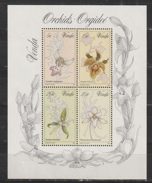 VENDA 1981 Orchids UMM SACC 50