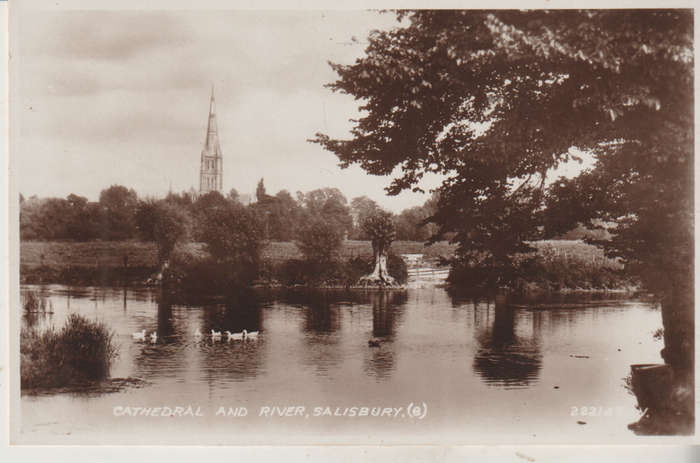 MINT POST CARD