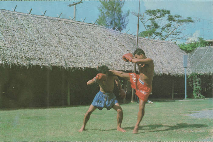 MINT POST CARD