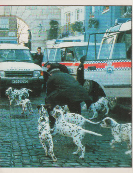 PANINI DISNEYS 101 DALMATIANS COLLECTABLE STICKERS #168