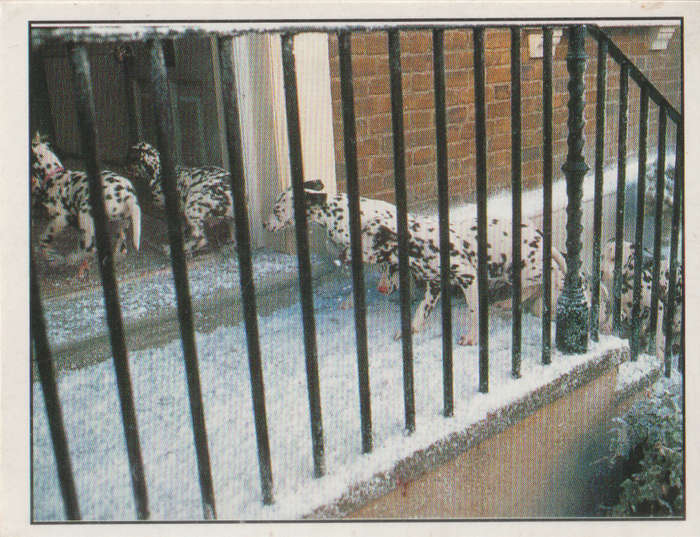 PANINI DISNEYS 101 DALMATIANS COLLECTABLE STICKERS #176
