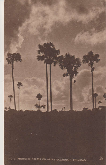 MINT POST CARD